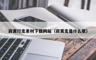 宜城寂寞行走素材下载网站（寂寞走是什么歌）